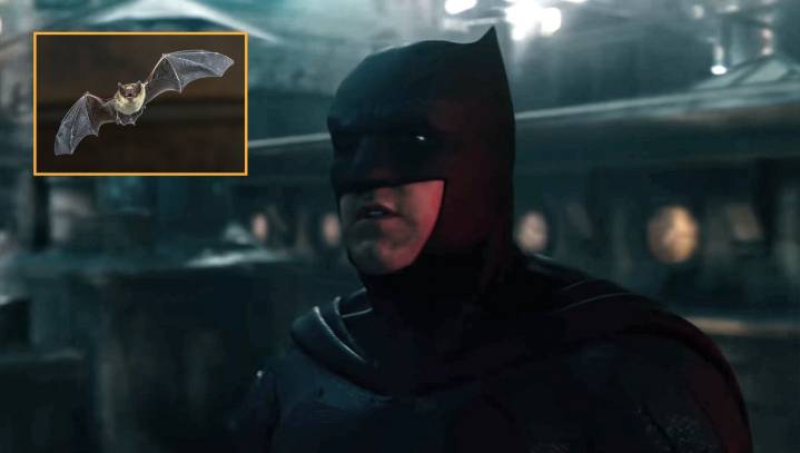 Affleck Steps Down As Batman After Critics Blast Him For Not Actually Being A Flying Nocturnal Mammal