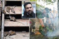 Exclusive | NYC residents demand new ‘rat czar’ when Mamdani takes office: ‘Rats owned the sidewalks’