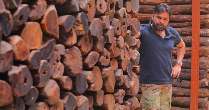 Andhra Pradesh Andhra to launch operation against sandalwood smugglers