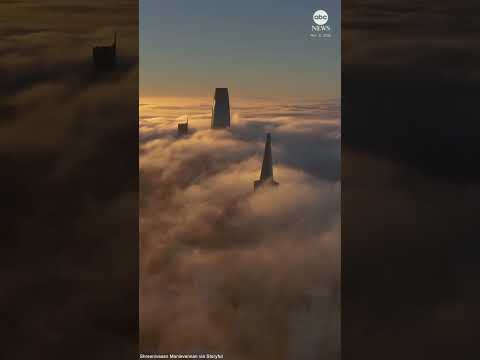 Arial footage shows San Francisco cloaked in fog