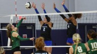 Photos: Gainesville area high school volleyball all