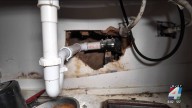 ‘Fix this right now’: Jacksonville mother demands apartment management repair ongoing issues amid rent hike