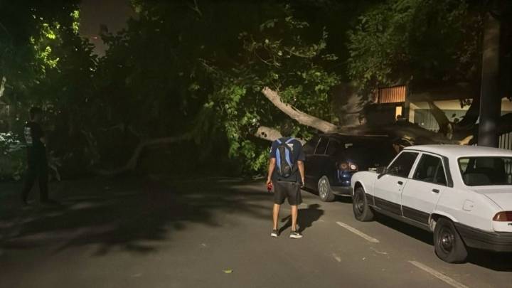 Cuál fue el saldo de daños en la provincia provocado por el fuerte viento Sur