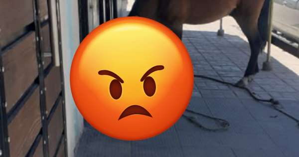 "¡Un bestia total!": La postal que indignó a cientos de salteños