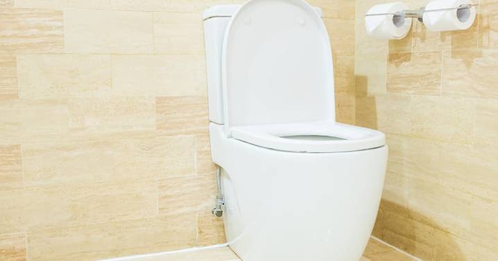 Este Día Mundial del Retrete convierte tu baño en el santuario que te mereces