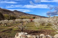 El Valle del Jerte, Premio Nacional de Turismo 2025 al Mejor Destino Rural y de Naturaleza More