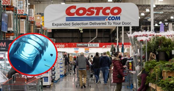 Costco en EEUU retira del mercado estos productos por posible contaminación con plástico
