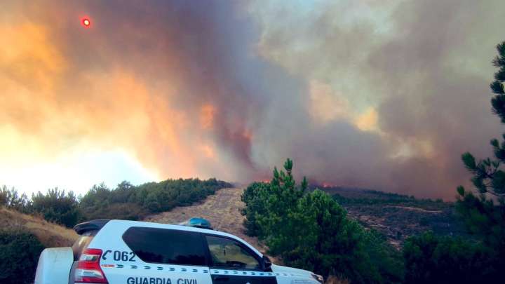 Un experto alerta del "tremendo desastre" en Cáceres: el agua negra que contamina los ríos y mata la vida
