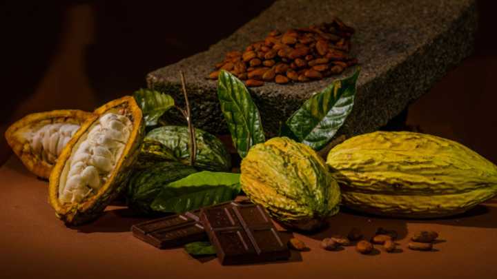 El chocolate colombiano representará a la Amazonía en exposición internacional en París