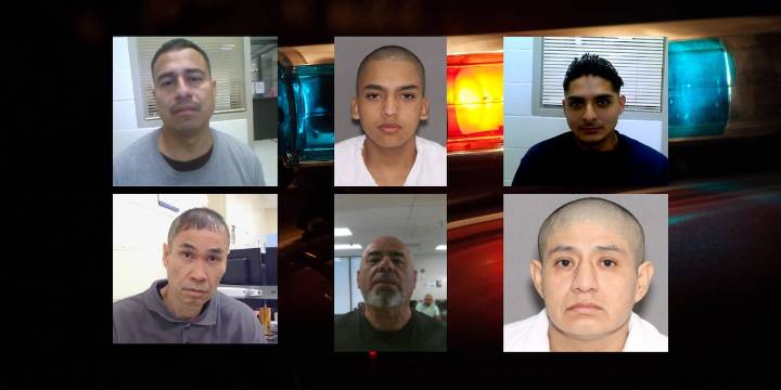 ICE arrests gang member, convicted sex offenders in Houston sweep