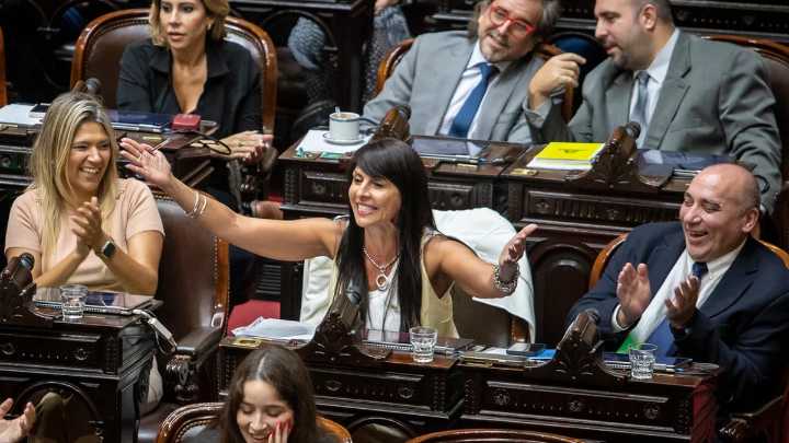 Quiénes son los diputados que renunciarán a sus bancas el próximo miércoles