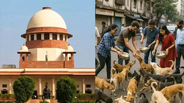 SC’s big order; Remove stray dogs from educational institutions, bus stands