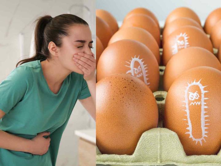 ¿Qué alimentos pueden transmitir salmonella? Conoce qué debes cuidar en la comida