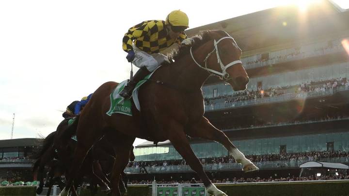 Autumn Glow primed for glory in $10m Golden Eagle