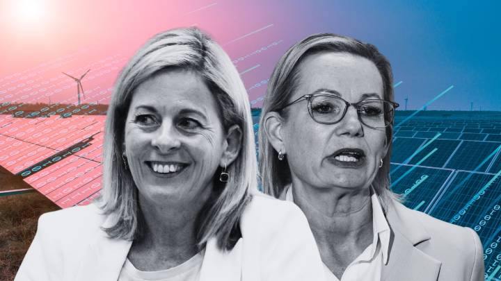 Liberals will pursue net zero policy despite Nationals moving to abandon 2050 target, says shadow environment minister Angie Bell