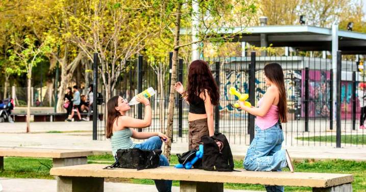 Sol pleno y calor intenso: el Alto Valle se prepara para un jueves con 30°C, ¿cuándo será el pico de temperatura?