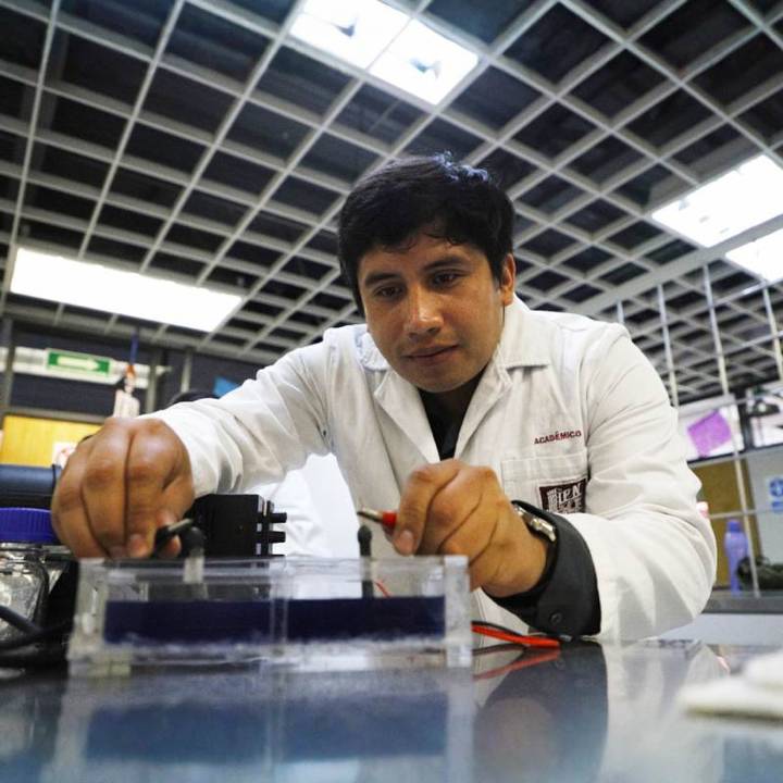 Estudiantes del IPN aprovechan sargazo para retirar contaminantes de aguas residuales