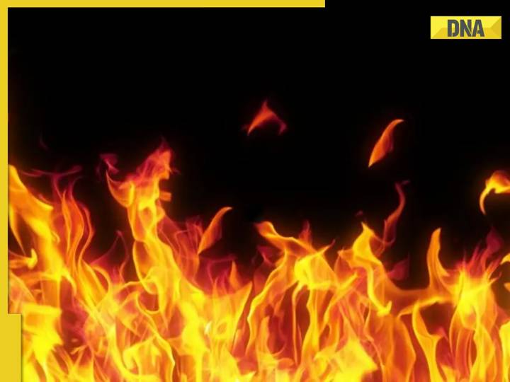 Indore: 2 women charred to death in fire at chemical factory