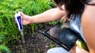 Are Home-Based Soil Testing Kits Really Accurate? Here's What We Know