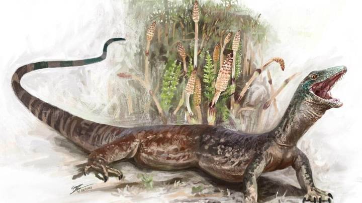 Un fósil de reptil jurásico difumina la línea entre serpiente y lagarto