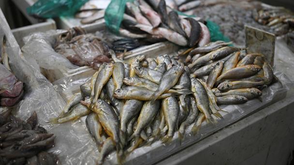 China dejará de importar marisco japonés en medio de tensiones por Taiwán, según medios