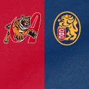 Resumen Tigres vs Leones