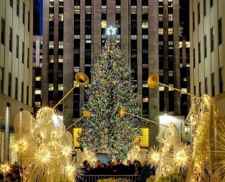 Árbol de Navidad que iluminará el Rockefeller Center ya está en Nueva York (+Video)