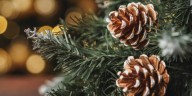 Realiza este aromatizante natural a base de pino para darle a tu hogar un toque navideño