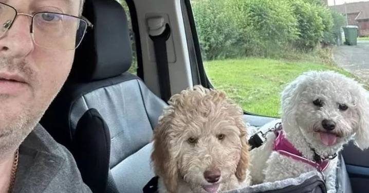 Dog's intestines 'pushed back into place' after 'savage attack' on family walk