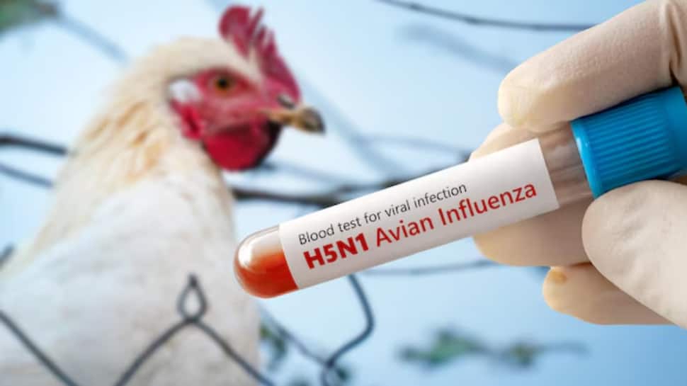 First-Ever Human Case Of H5N5 Bird Flu Detected In Washington, Doctors Race To Decode The Mysterious Strain