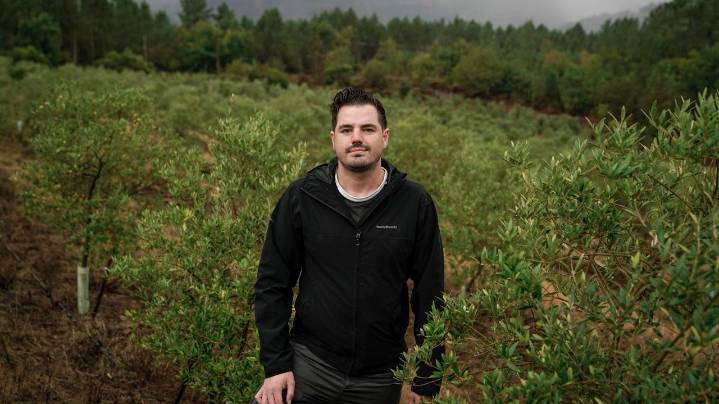 Alfonso Rodríguez: «Unha oliva galega é moi diferente as do resto da Península Ibérica»