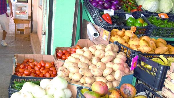 El aguacate y papa, los más baratos que nunca