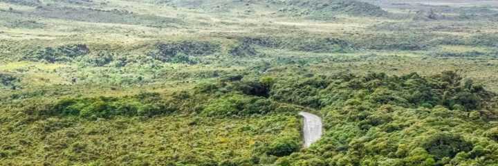 ANLA otorga viabilidad ambiental al corredor Paletará entre Cauca y Huila