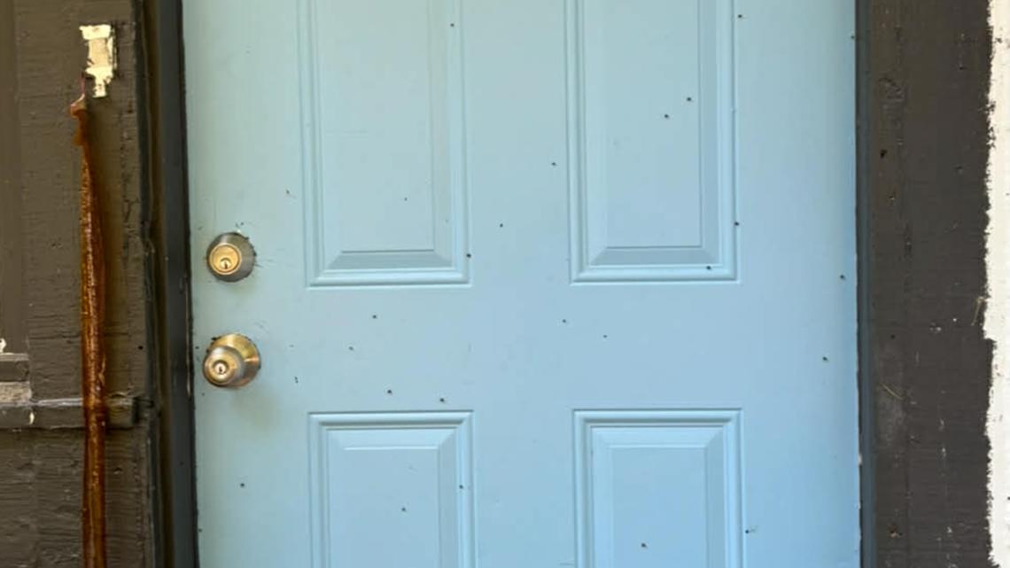 Sewer gnats, human waste and repeated moves: Atlanta mother says apartment complex keeps putting her in unsafe units