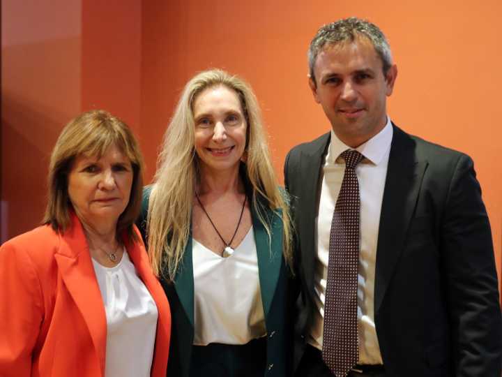 Patricia Bullrich avanza en el Senado, Santilli en el espejo de De Narváez y el objetivo común de libertarios y K