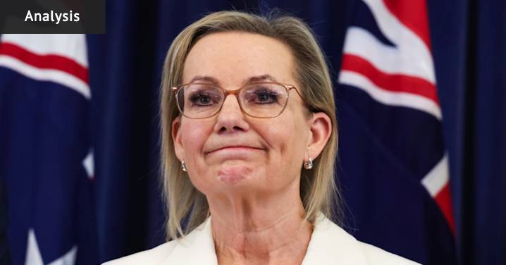 Liberal Party net zero policy: Sussan Ley showed up with a steely tone and strong message but forgot one group