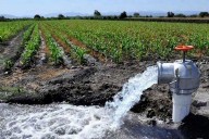 Políticos y grandes empresas roban el 80% de agua a mexicanos, calculan investigadores