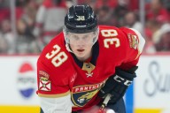 Panthers Recall Jack Devine