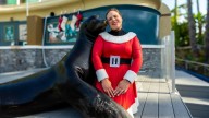 SeaWorld San Diego rolls out 2 new shows for Christmas holidays