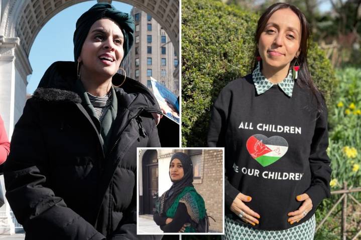 DSA members battling for Mamdani's Albany seat are even more to the left than he is