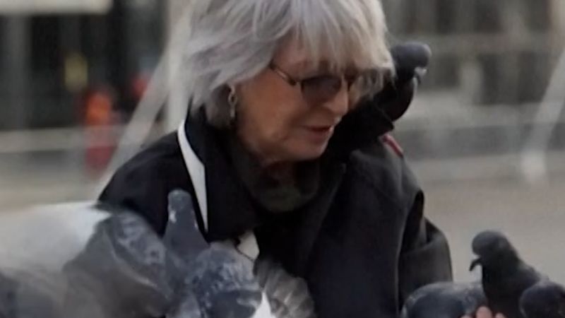 The Parisian woman protecting pigeon’s toes