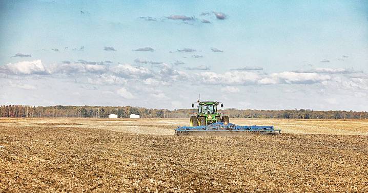 Some takeaways from 2025 growing season in Illinois
