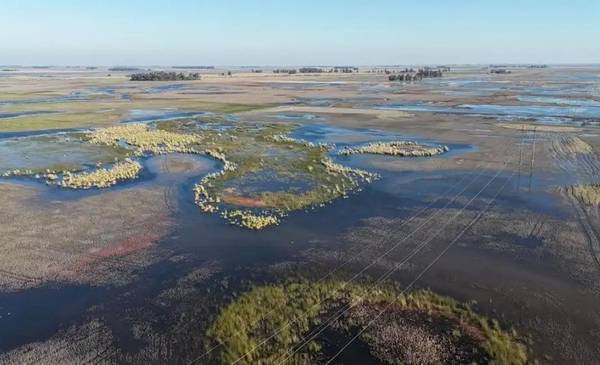 VIDEO. Buscan avanzar con un plan de acción en la Provincia por las inundaciones