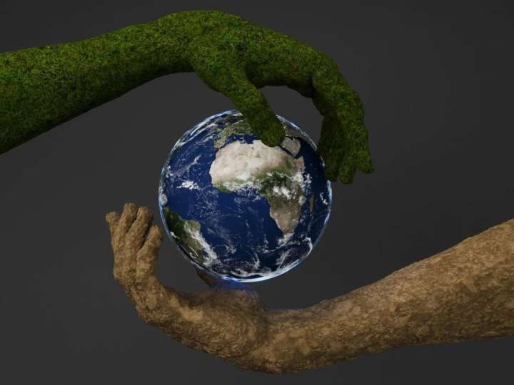 Homo homini lupus: la inquietante frase en latín que revela el lado más oscuro del ser humano