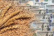 Trigo: proyectan una cosecha récord de 25,5 millones de toneladas en la campaña 2025/26