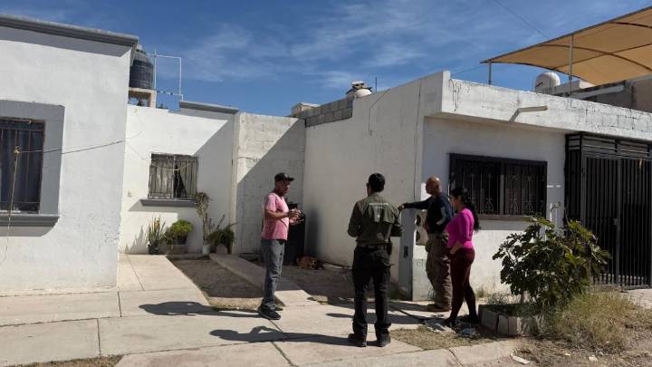 Pánico en Campo Nuevo Zaragoza: Perros agresivos escapan y atacan a mascotas en Torreón