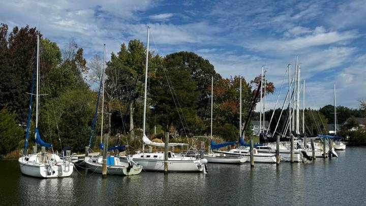 Inside the marina gold rush in Anne Arundel, elsewhere