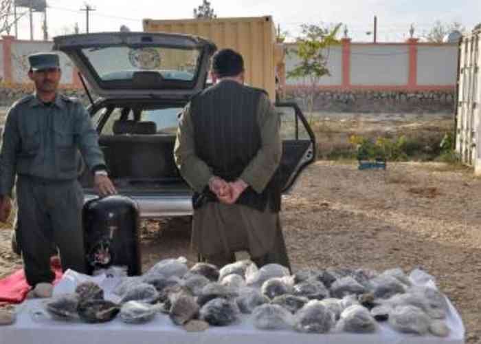Afghan police seizes 225 kg of opium in Ghazni