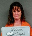 Fort Smith woman who gave former friend’s identity upon Crawford County arrest pleads guilty to forgery, fraud