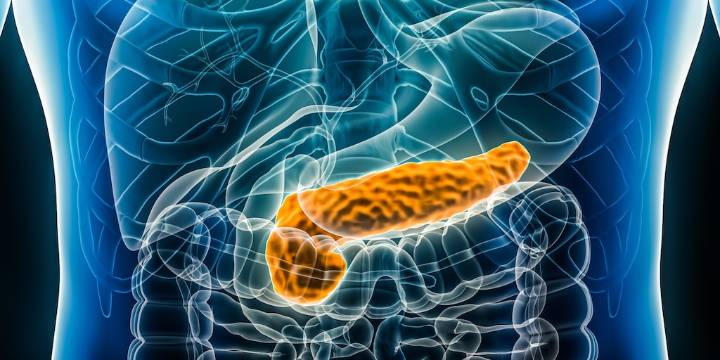 Estos son los 5 principales síntomas del cáncer de páncreas